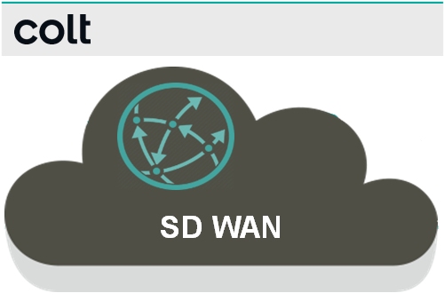   Fibre SdWan  1Gb FIBRE 1Gb SDWAN [Colt Network], dbit symtrique, ddi, garanti 100% 